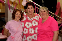 Pink Committee Function (Oct 2016)