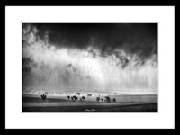 Mono Storm - Framed Print (black frame)