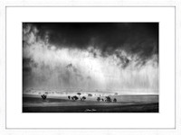 Mono Storm - Framed Print (soft white frame)