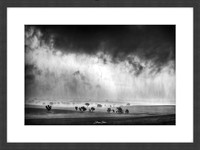 Mono Storm- Framed Print (arsenic frame)