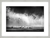 Mono Storm - Framed Print (storm frame)