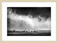 Mono Storm - Framed Print (straw frame)