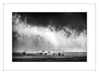 Mono Storm - Framed Print (very white frame)