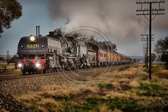 Locomotive 6029 9