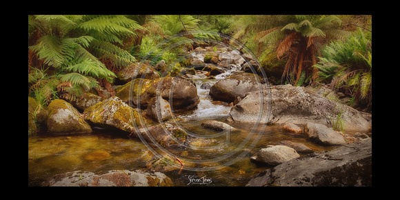 Eight Mile Creek- 13 Cabramurra NSW