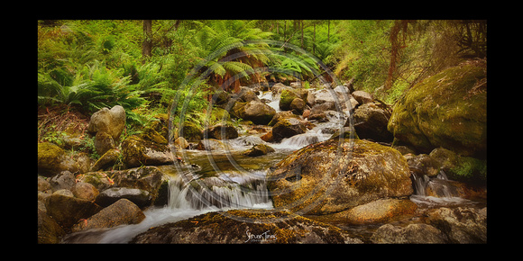 Eight Mile Creek- 2 Cabramurra NSW