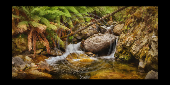 Eight Mile Creek- 5 Cabramurra NSW
