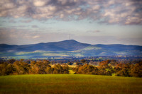 Bethungra Mountain Landscape 1